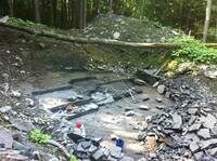 Collecting the Walcott-Rust Quarry in Summer 2013